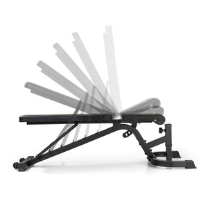 |FuelFitnessFIDBench4|