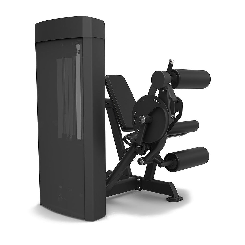 |SpiritFitnessDualLegExtensionLegCurlBack|